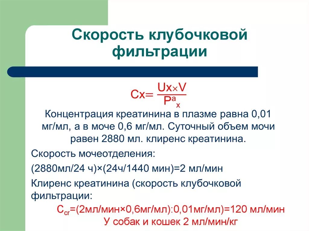 Формула скорости клубочковой