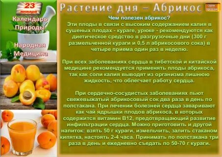 Абрикос вред