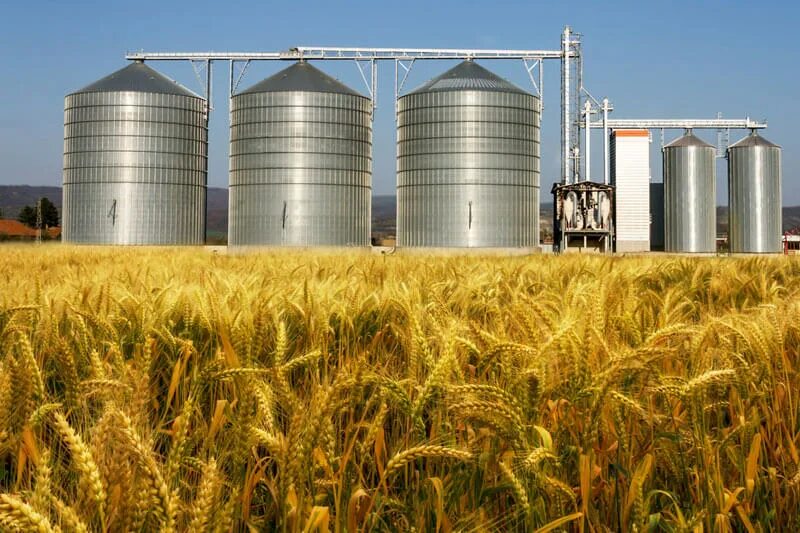 Аграрный сектор. Modern agriculture. Агропромышленный комплекс. Русагро сельское хозяйство. Аграрная промышленность.