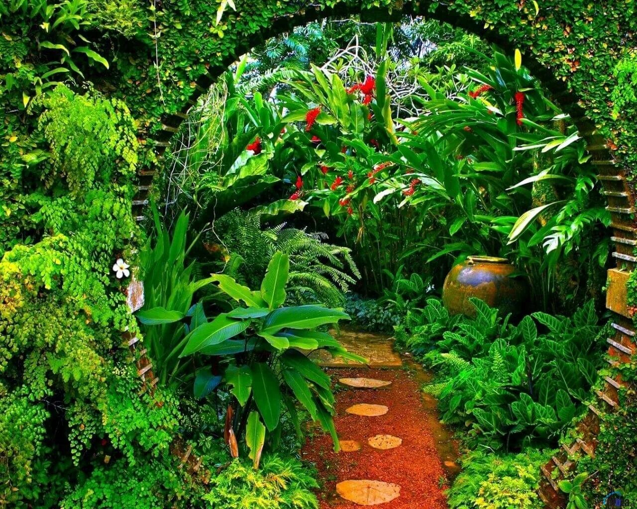 T i garden