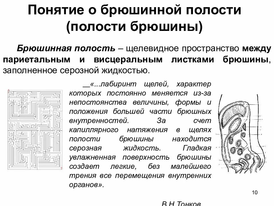 Серозная полость