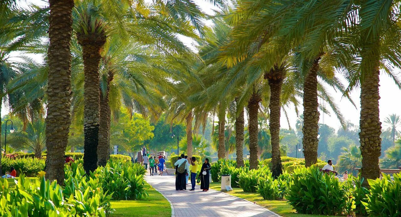 Бесплатные парки дубая. Al safa park dubai. Бесплатные парки дубая. Бесплатные парки дубая. Дворец zabeel palace в дубае.