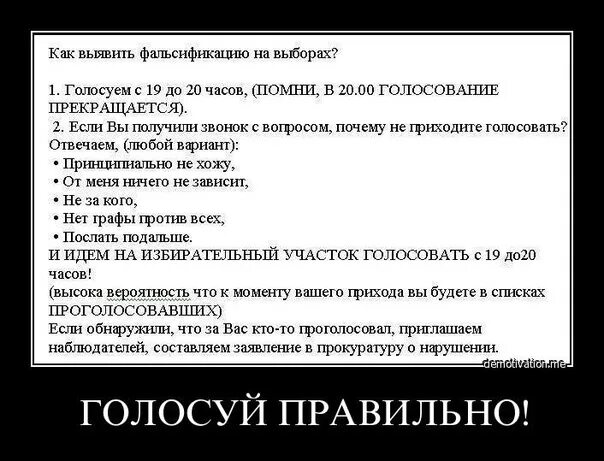 Прийти на выборы и проголосовать. Выборы демотиваторы. анекдот про выбор. анекдоты про выборы. голосование прикол.