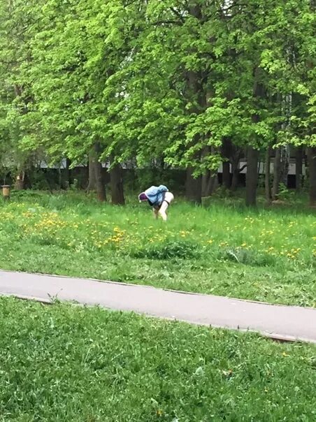 Приспичило. Ребёнку приспичило. справляют нужду в кустах.