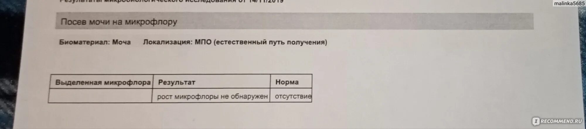 Анализы нужно сдавать при цистите. Посев мочи при цистите. Бакпосев мочи при цистите. Посев мочи при цистите у женщин. Бакпосев мочи при цистите KDL.