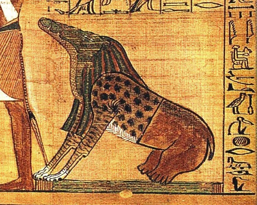Животные богов египта. Амат Бог Египта. Амат богиня древнего Египта. Чудовище Амат древний Египет. Боги древнего Египта Амамат.