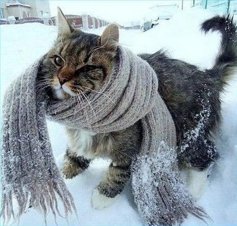 Как стать теплее
