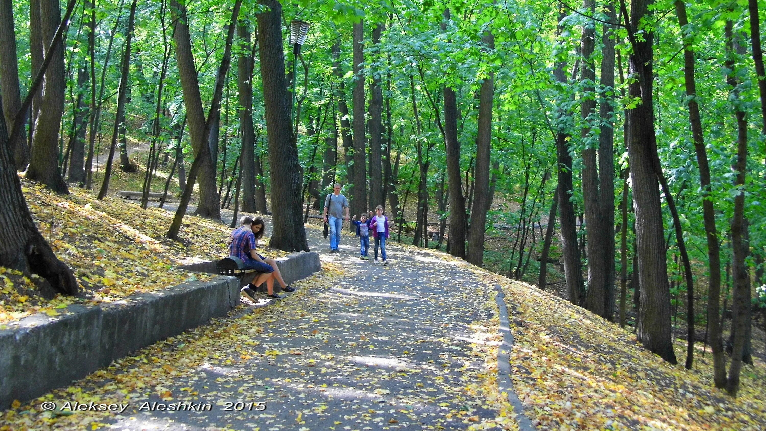 Сайт парка пенза. Парк Белинского Пенза. Парк Белинского тропа здоровья. Тропа здоровья Пенза. Тропа здоровья Белинского Пенза.