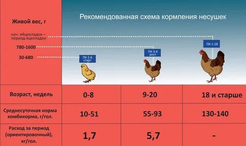 Норма комбикорма для бройлеров