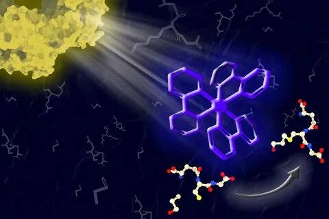 Catalyst