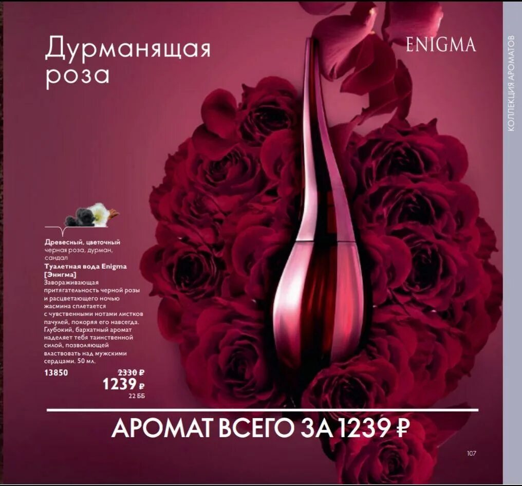 питомник роз аромат роз. парфюмерная вода воларе орифлейм 35661. вышивка крестом аромат роз. запах розы описание. энигма орифлейм в каталоге 2021.