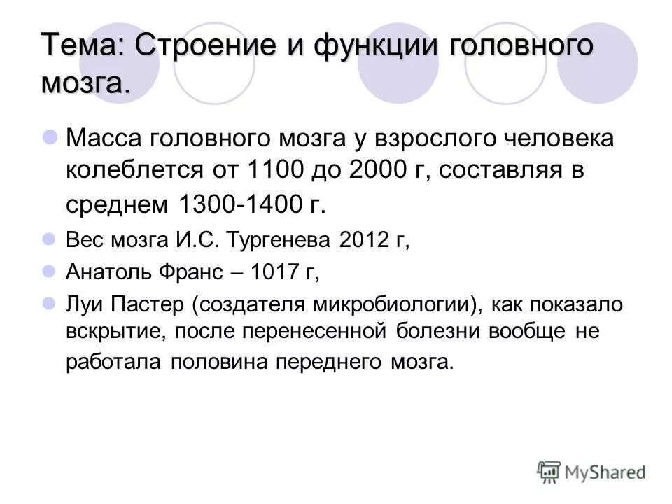 Масса головного мозга у мужчины составляет: (в граммах). Масса головного мозга у взрослого человека. Масса головного мозга. Вес головного мозга новорожденного составляет. Масса мозга человека.