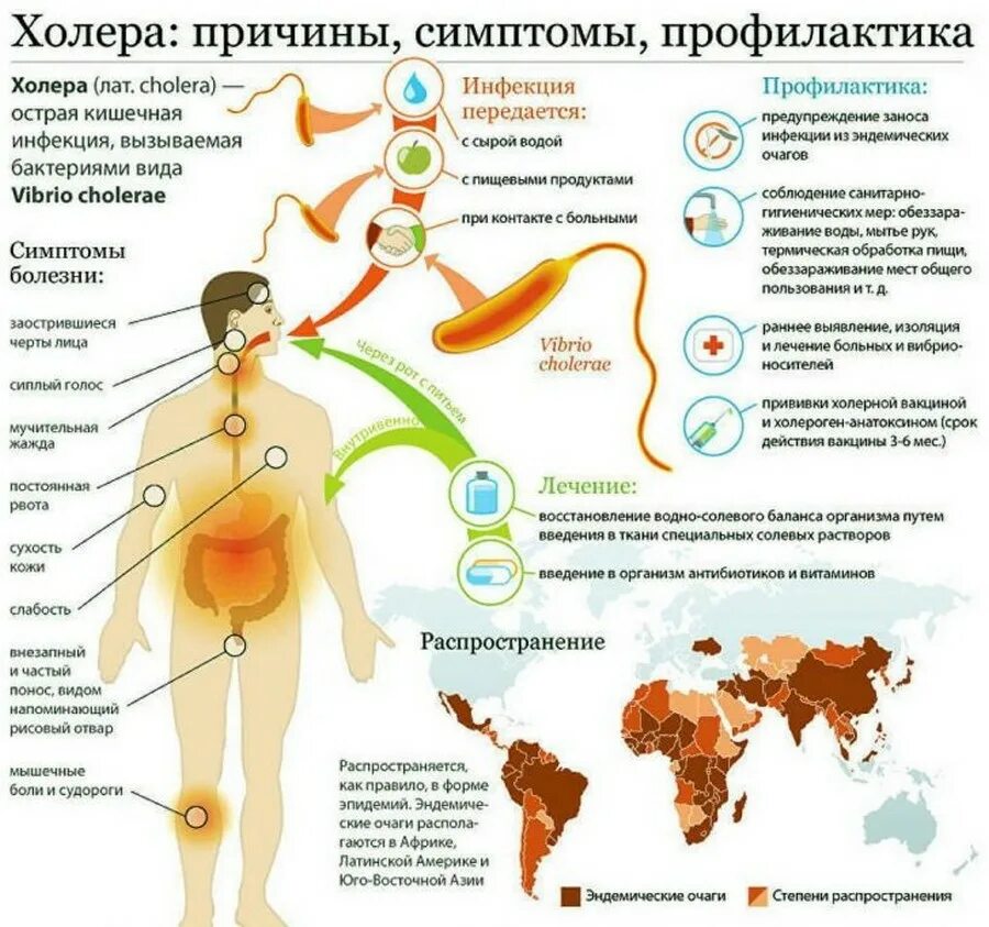 Какая инфекция ходит