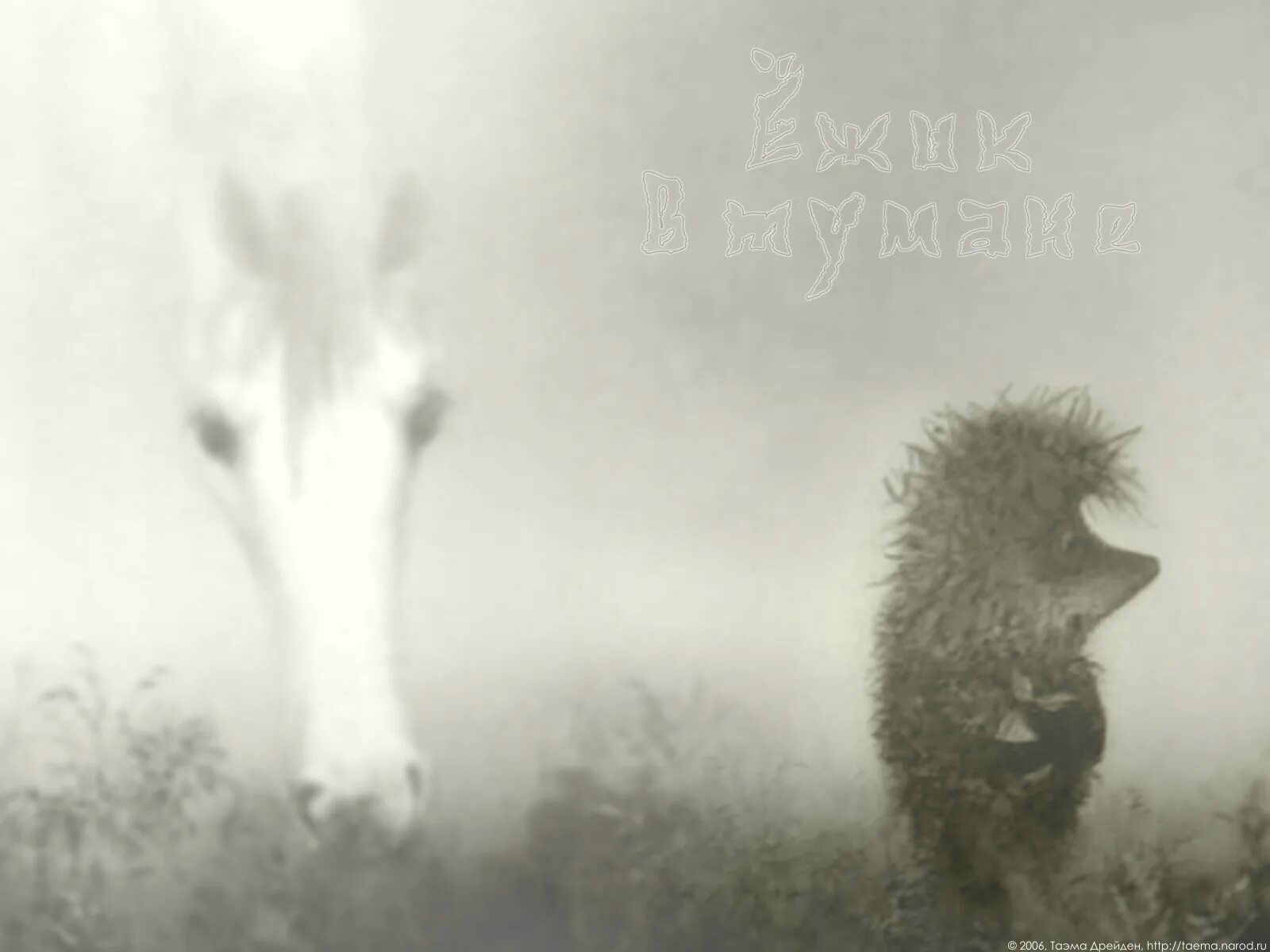 Ежик в тумане норштейн ярбусова. «ёжик в тумане» юрия норштейна. Ежик в тумане лошадка. Лошадка в тумане. «ёжик в тумане» юрия норштейна.