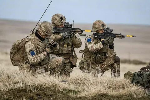 British forces