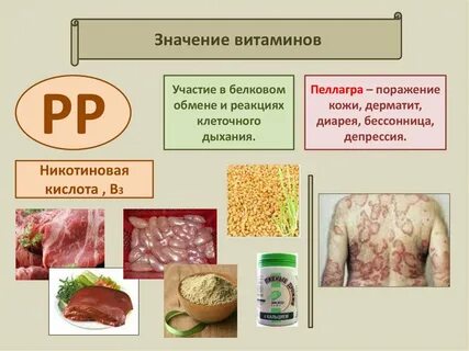 Роль витамина рр
