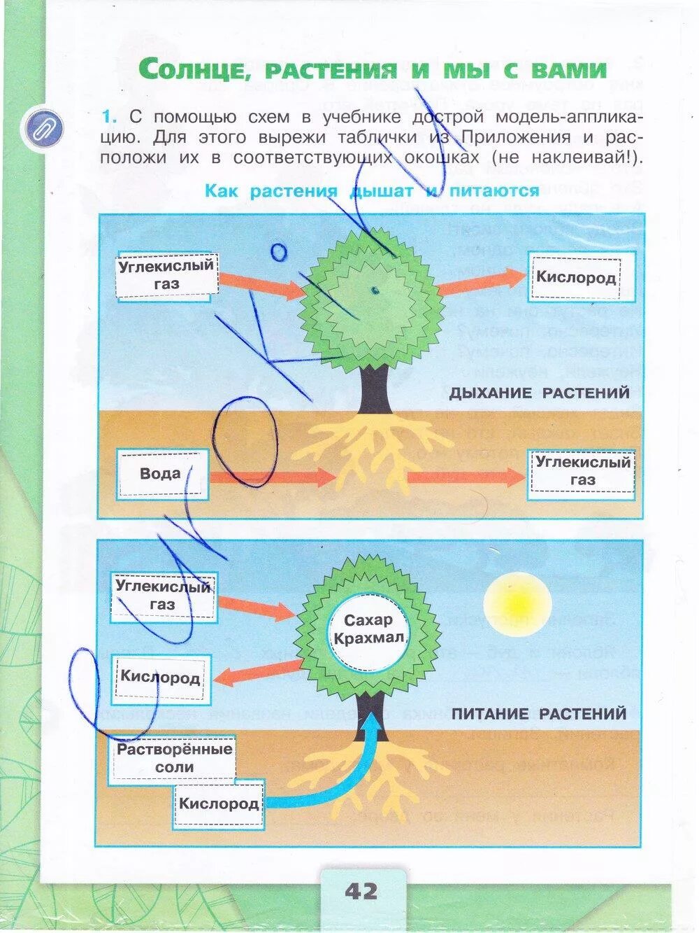 Окр мир рабочая тетрадь стр 42. Окружающий мир 3 класс рабочая тетрадь 1 часть стр 42. Схема в учебнике. Окружающий мир 3 класс рабочая тетрадь стр 42. Окружающий мир рабочая тетрадь 3 класс 1 часть страница 42.