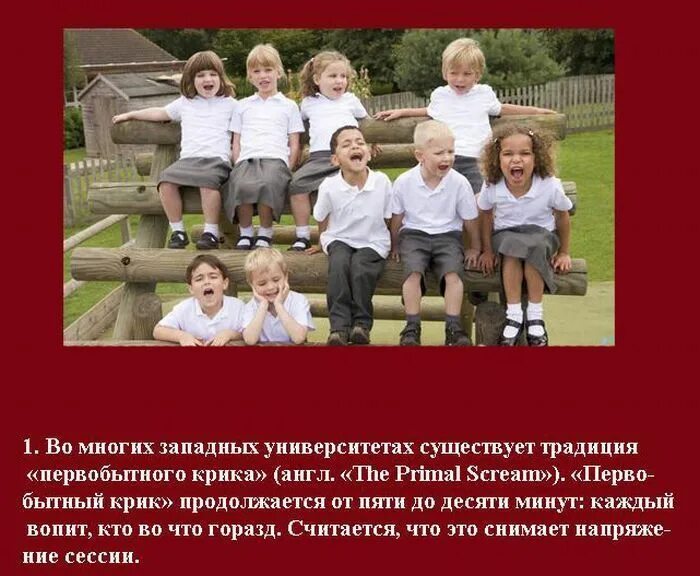 интересные факты о студенчестве и традиции. студенческие традиции презентация. интересные факты о дне студента. международный день студента. презентация на тему колумбия.