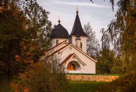 Тульская область 14 дней
