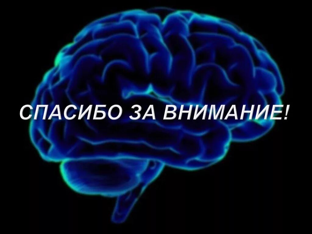 Воля про мозг. Спасибо за внимание мозг. Спасибо за внимание головной мозг. Спасибо за внимание для презентации мозг. Спасибо за внимание неврология.