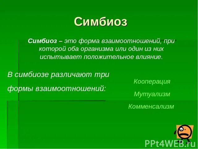 Симбиоз. Кооперация симбиоз. Факторы симбиоза. Симбиоз комменсализм. Отношения вредные для обоих организмов