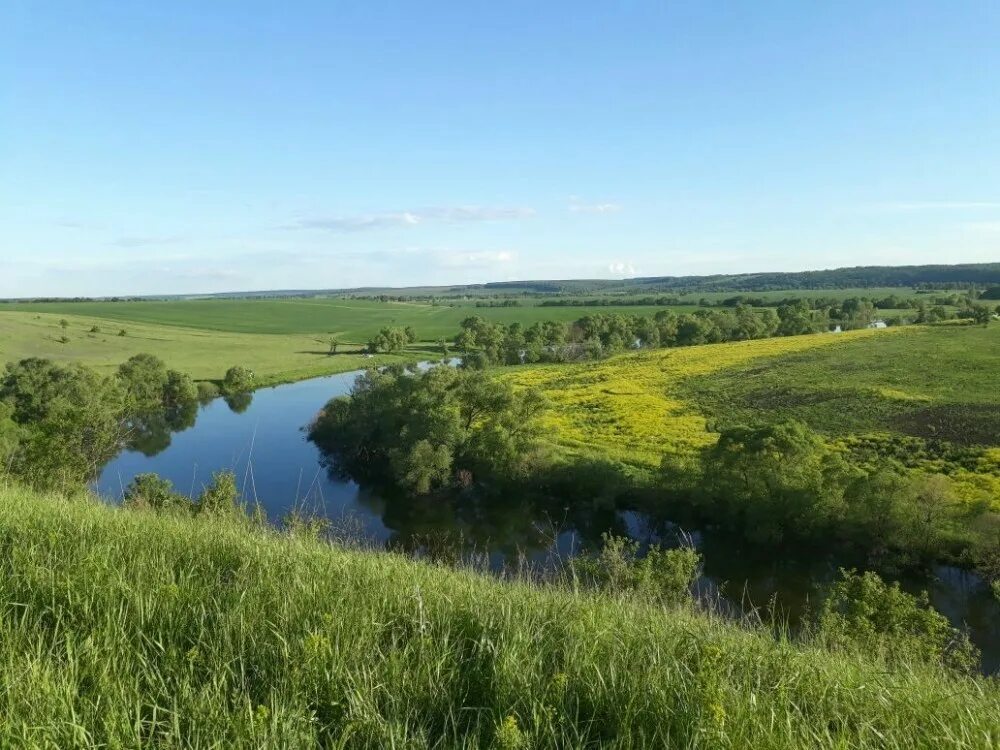 Самое в орловской области. Долина реки Зуша. Зуша Владимир.