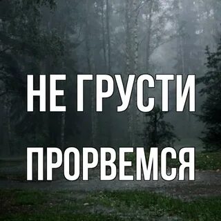 Открытка прорвемся