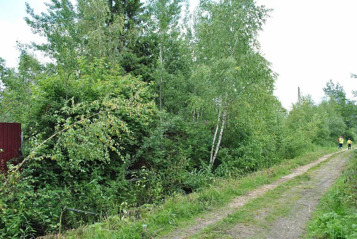 Рыбалка в шапкино наро фоминский. СНТ Шапкино вертолетчик. СНТ вертолетчик Наро-Фоминский район. Деревня Шапкино Наро-Фоминский район. СНТ Дубки Наро-Фоминский район.