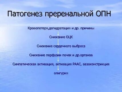 Механизм развития острой почечной недостаточности