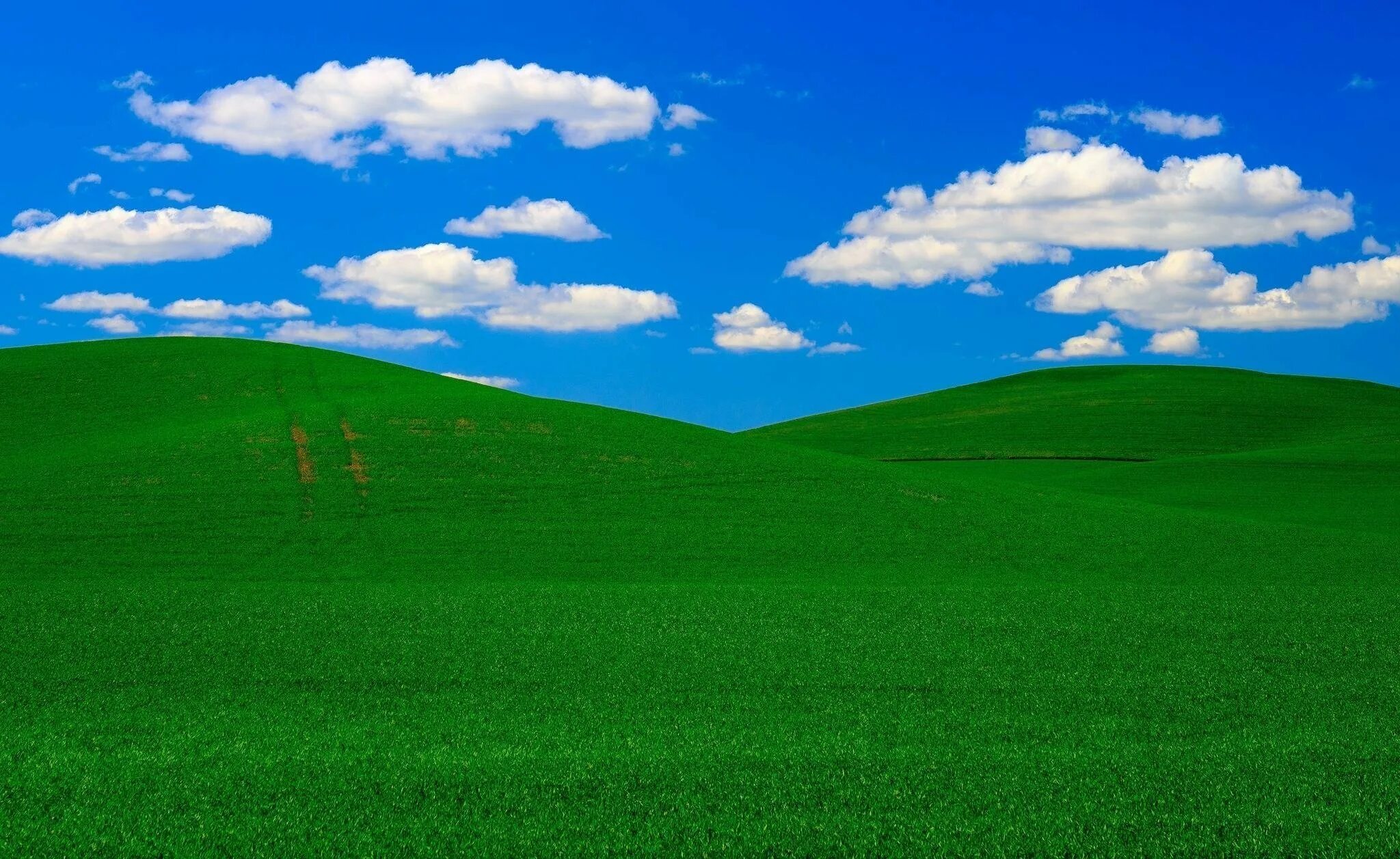 Поставь зеленое поле. «Зеленые холмы». Пейзаж безмятежность. Поле Windows XP.