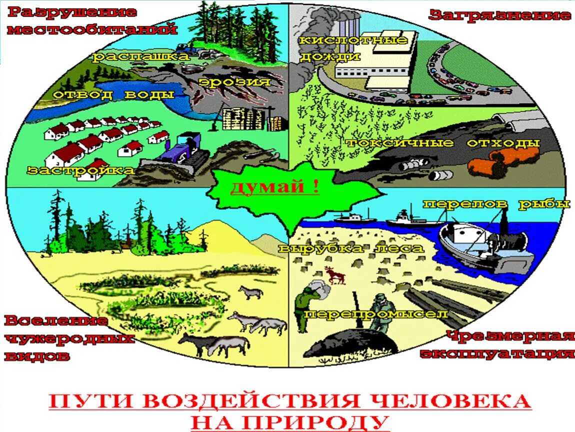 Антропогенное воздействие на природу. Антропогенное воздействие человека на природу. Влияние антропогенных факторов на природу. Антропогенные факторы человека на природу.