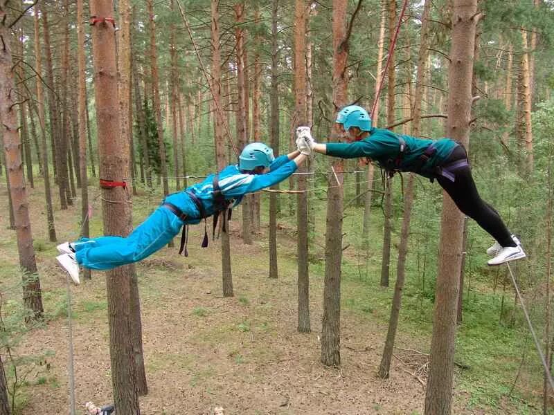 Спор между деревьями. Веревочный тимбилдинг. Веревочный тренинг. Веревочные препятствия. Веревочный тимбилдинг на природе.