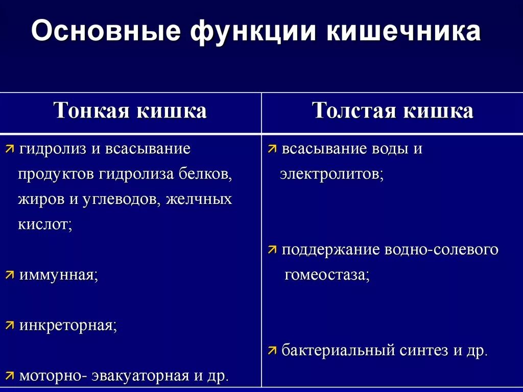 Какие функции толстого кишечника. Функции тонкой и толстой кишки. Тонкая и толстая кишка функции. Функции отделов кишечника таблица. Толстый кишечник таблица.