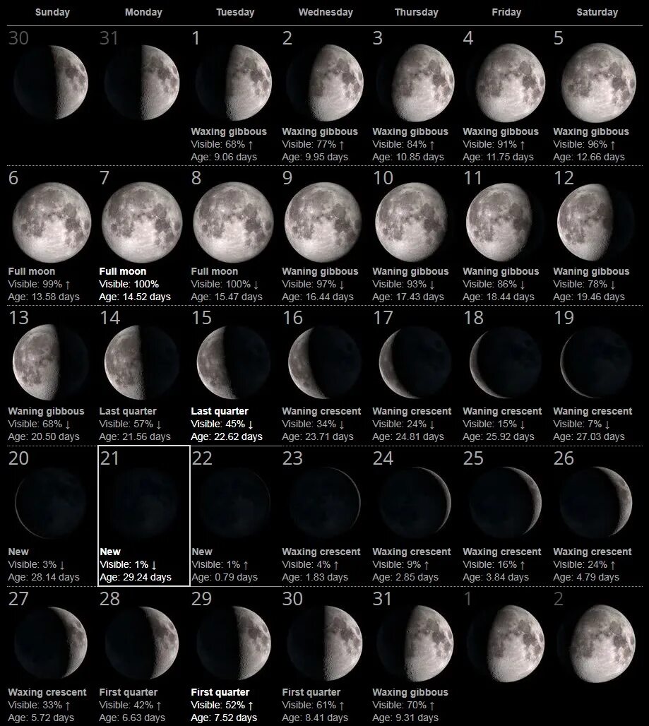 Moon Lunar Calendar 2022. Фаза Луны календарь 2021. Лунный календарь полнолуние 2023. Фазы Луны в июле 2023 года.