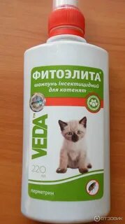 От блох для котят от 1 месяца