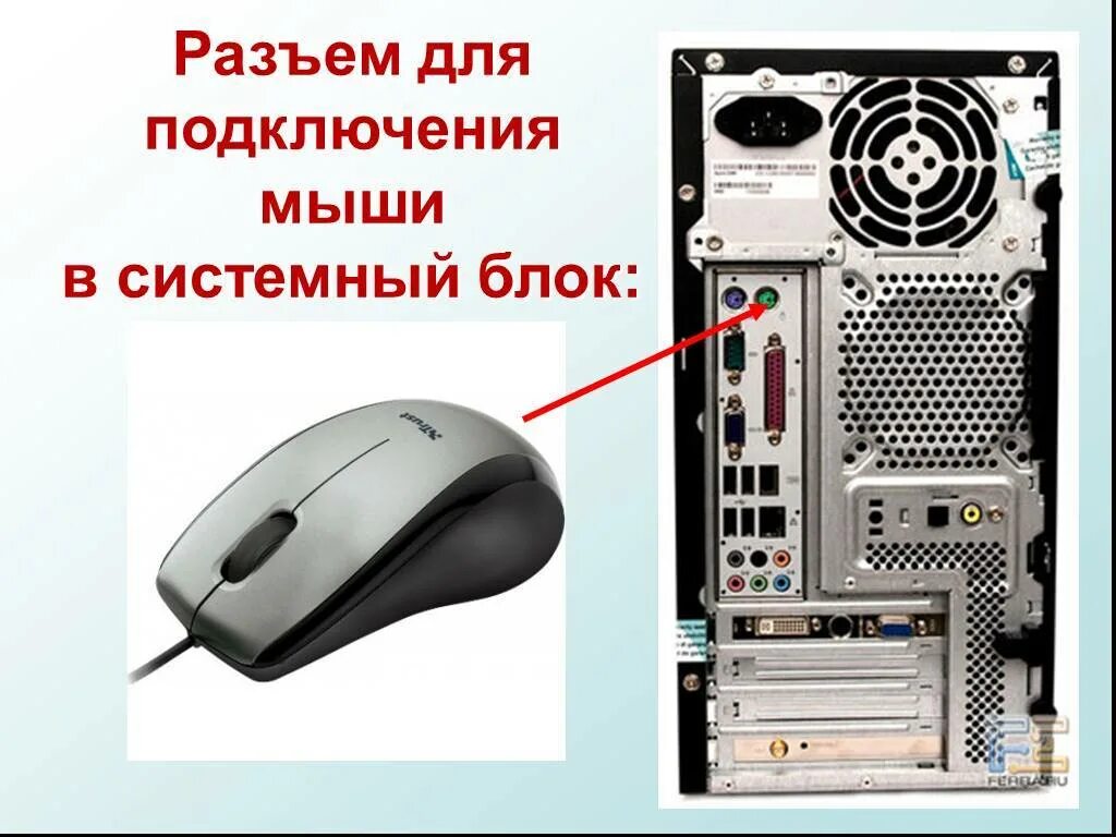 Как подключить клавиатуру и мышку к компьютеру. Схема подключения к системному блоку мыши. подключение проводной мыши к компьютеру. разъем мыши системного блока. куда подключать мышку в компьютере.