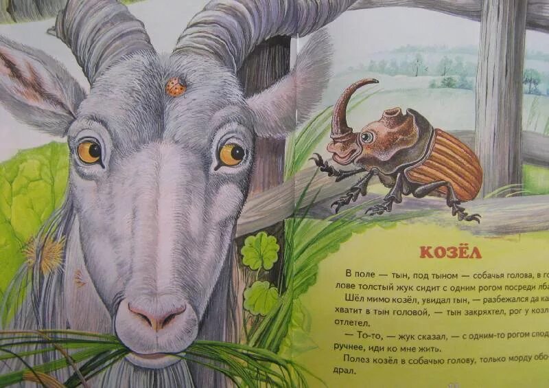 Сказка про козла читать. Сорочьи сказки толстой козел. Иллюстрации к сказкам Алексея Толстого.