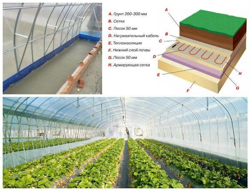 Как сделать тепло в теплице. Водяной обогрев грунта в теплице. Система подогрева грунта в теплице. Отопление в теплице из поликарбоната для зимней теплицы. Систем подогрева грунта в теплицах и оранжереях.