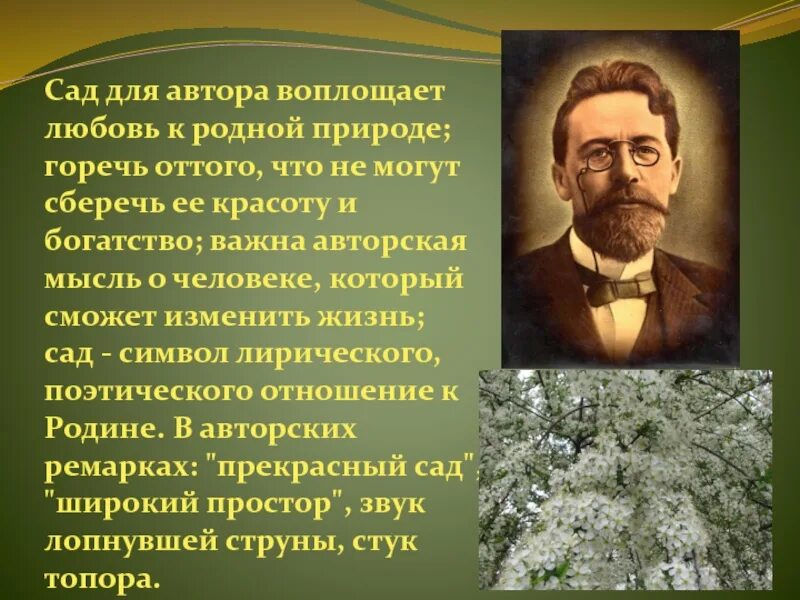 Жизнь и сад в пьесе вишневый. Авторская позиция вишневый сад. Вишневый сад позиция автора.