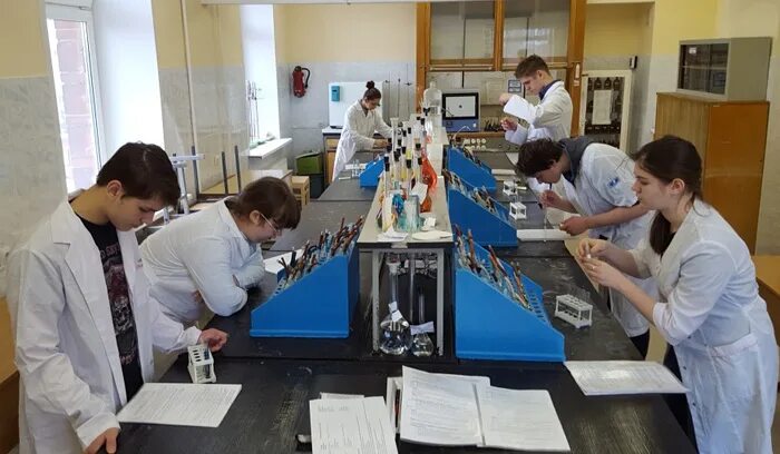 Профильный класс поступай. Куда пойти учиться. Где можно получить профессию повара на кавказе. Получить профессию в школе. Специальности в школе.