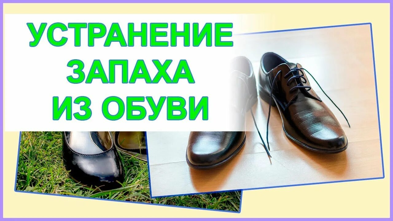 Запах мочи в обуви как избавиться. Чай для устранения запаха обуви. удаление запаха в обуви. неприятный запах обуви. помогут ли чайные пакетики от запаха в обуви.