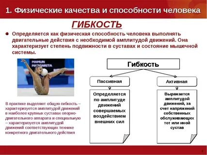 Упражнений на развитие основных физических качеств