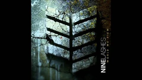 Nine lashes