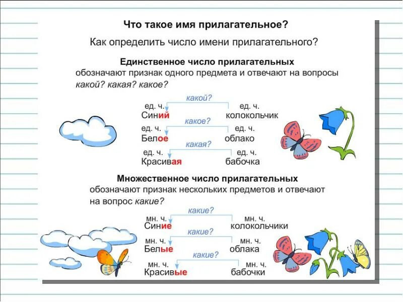 Число имени прилагательного 2. Прилагательные единственного и множественного числа. число имен прилагательных 2 класс. единственное и множественное число имен прилагательных. прилагательные в единственном и множественном числе 2 класс.