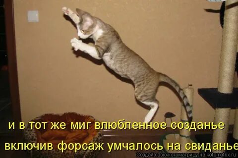 Включи создавайся
