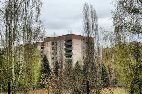 Чернобыля 9