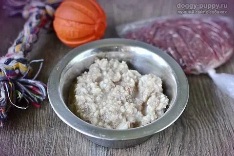 Творог щенку йорка
