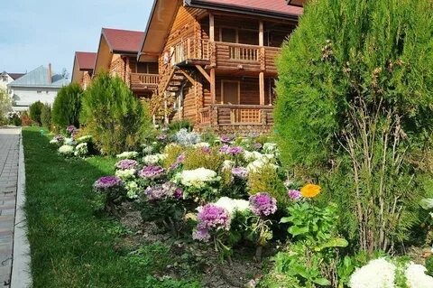 Цветы апшеронск