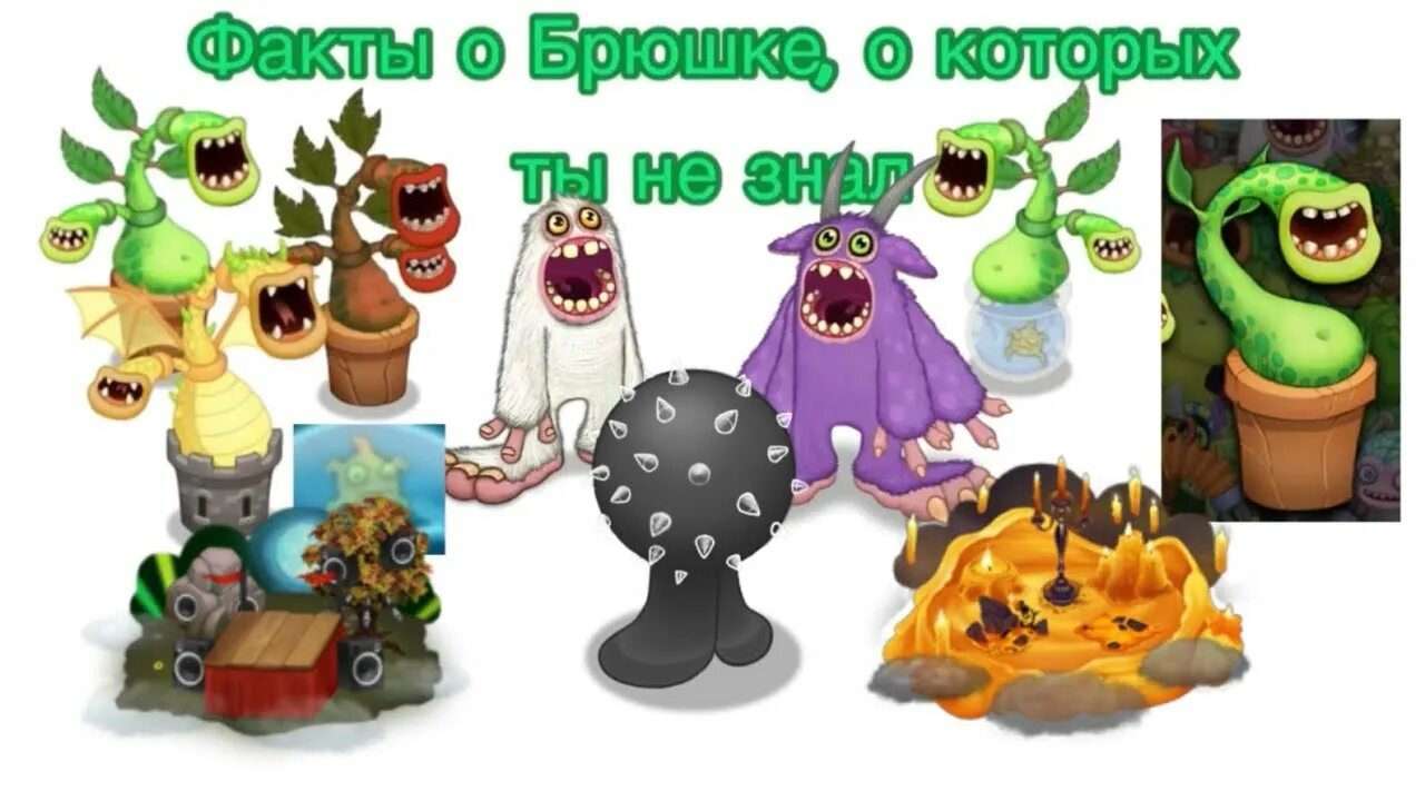 Редкий Брюшок. Брюшок MSM. Мои Поющие монстры брюшек. Брюшок в my singing Monsters. Брюшка my singing