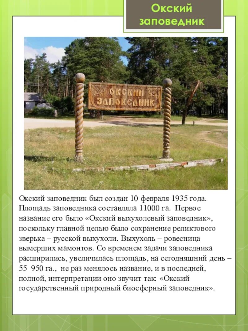 Окский заповедник кратко. Окский биосферный заповедник рязань доклад. окский заповедник рассказ.
